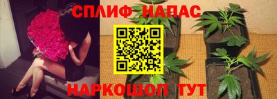 PSILOCYBIN Бугуруслан
