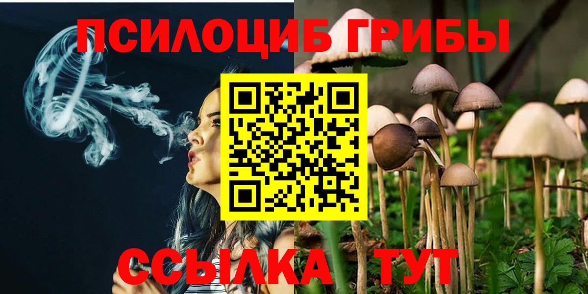 Галлюциногенные грибы мицелий Шуя